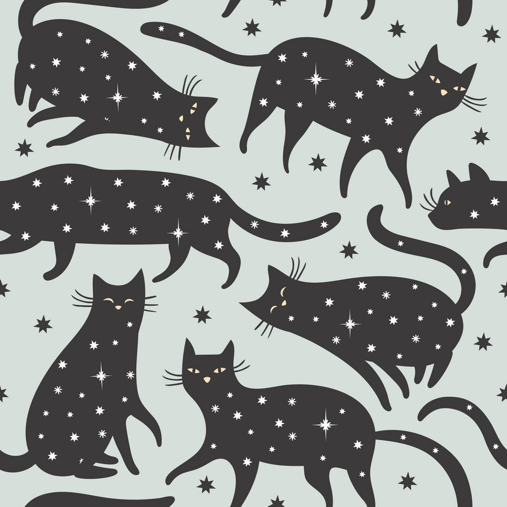 Black Cats & Stars Pattern