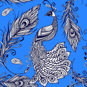 Peacock Feathers w/ Blue Background Pattern