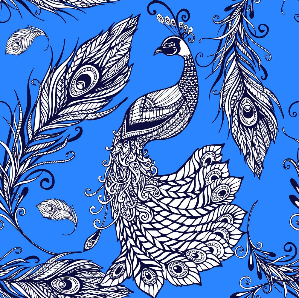 Peacock Feathers w/ Blue Background Pattern